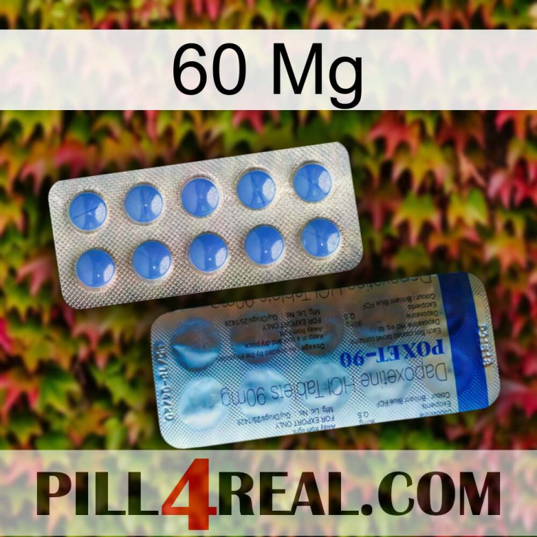 60Mg 40